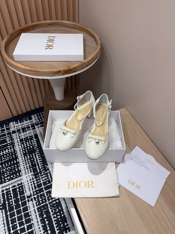 Dior Shoe 